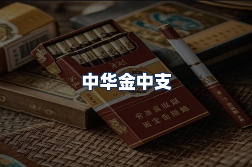中华金中支